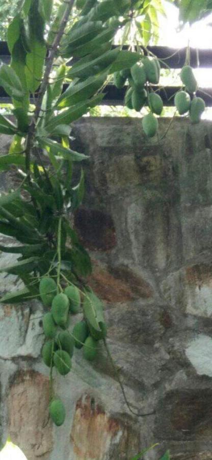 Nober Apartments Puerto Princesa Εξωτερικό φωτογραφία
